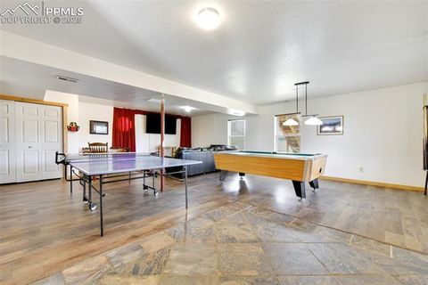 Tiny photo for 25 Arrowhead Drive, Florissant, CO 80816 (MLS # 6165683)