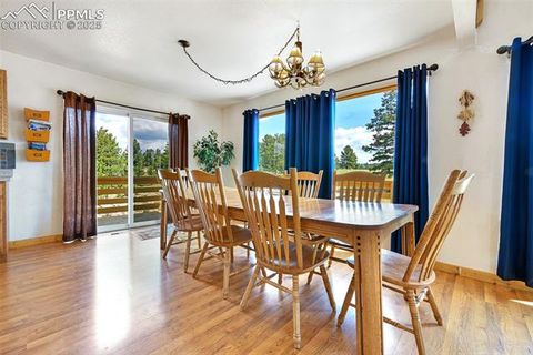 Tiny photo for 25 Arrowhead Drive, Florissant, CO 80816 (MLS # 6165683)