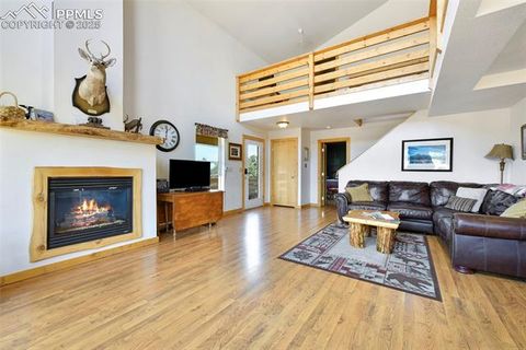 Tiny photo for 25 Arrowhead Drive, Florissant, CO 80816 (MLS # 6165683)