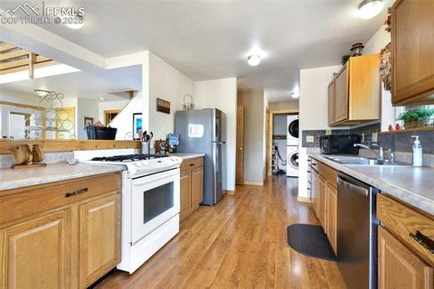 Tiny photo for 25 Arrowhead Drive, Florissant, CO 80816 (MLS # 6165683)