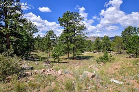 Tiny photo for 25 Arrowhead Drive, Florissant, CO 80816 (MLS # 6165683)