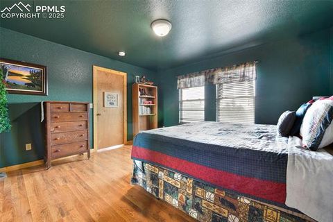 Tiny photo for 25 Arrowhead Drive, Florissant, CO 80816 (MLS # 6165683)