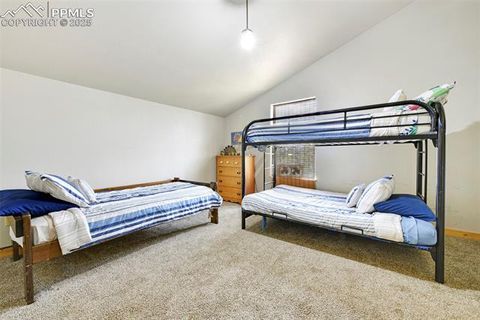 Tiny photo for 25 Arrowhead Drive, Florissant, CO 80816 (MLS # 6165683)