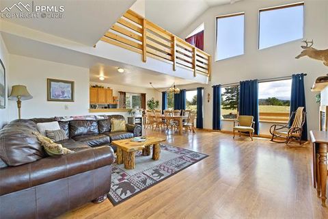 Tiny photo for 25 Arrowhead Drive, Florissant, CO 80816 (MLS # 6165683)