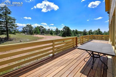 Tiny photo for 25 Arrowhead Drive, Florissant, CO 80816 (MLS # 6165683)