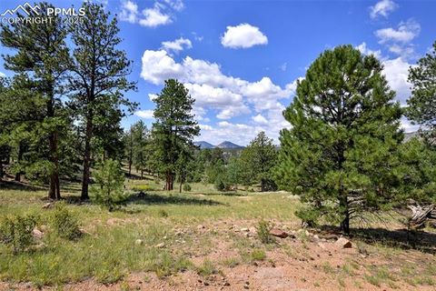 Tiny photo for 25 Arrowhead Drive, Florissant, CO 80816 (MLS # 6165683)