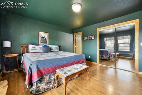 Tiny photo for 25 Arrowhead Drive, Florissant, CO 80816 (MLS # 6165683)
