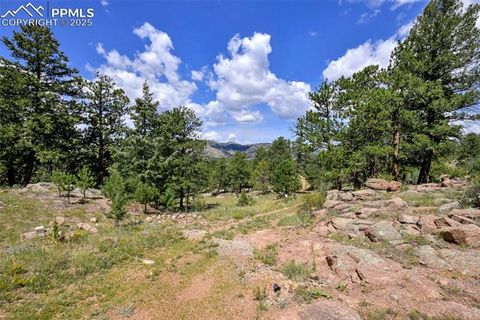 Tiny photo for 25 Arrowhead Drive, Florissant, CO 80816 (MLS # 6165683)