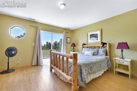 Tiny photo for 25 Arrowhead Drive, Florissant, CO 80816 (MLS # 6165683)