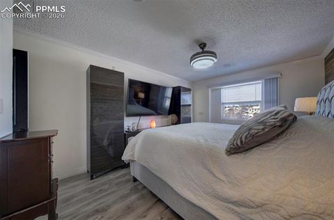 Tiny photo for 1665 Boxtree Court, Colorado Springs, CO 80906 (MLS # 8897430)