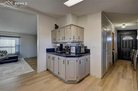 Tiny photo for 21050 McDaniels Road, Calhan, CO 80808 (MLS # 6952504)