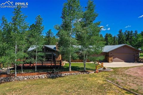2220 Lee Circle Drive Woodland Park CO 80863