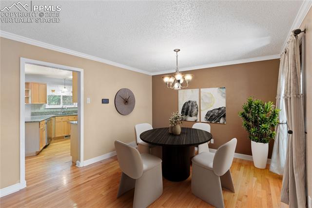 202 Blanca Court