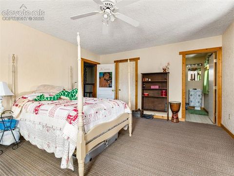 Tiny photo for 6160 Waterbarrel Road, Beulah, CO 81023 (MLS # 3475218)