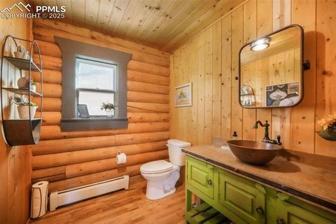 Tiny photo for 312 Trail Creek Road, Lake George, CO 80827 (MLS # 5805314)