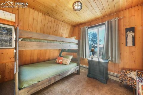 Tiny photo for 312 Trail Creek Road, Lake George, CO 80827 (MLS # 5805314)