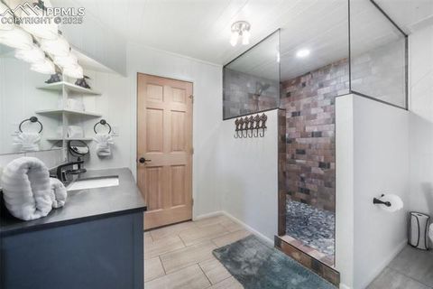 Tiny photo for 312 Trail Creek Road, Lake George, CO 80827 (MLS # 5805314)