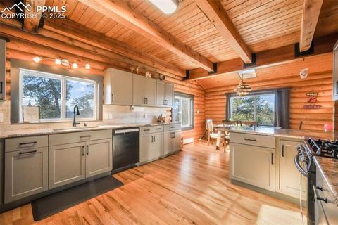 Tiny photo for 312 Trail Creek Road, Lake George, CO 80827 (MLS # 5805314)