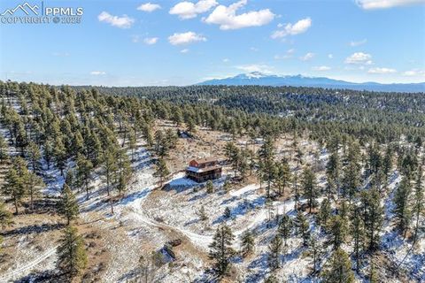 Tiny photo for 312 Trail Creek Road, Lake George, CO 80827 (MLS # 5805314)