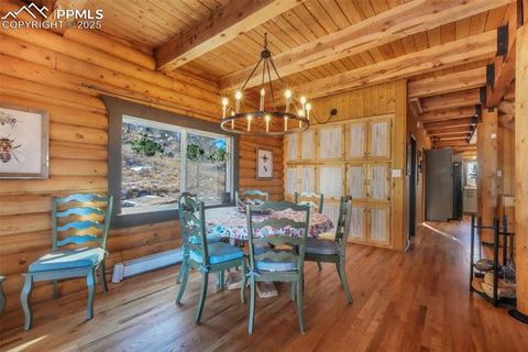 Tiny photo for 312 Trail Creek Road, Lake George, CO 80827 (MLS # 5805314)