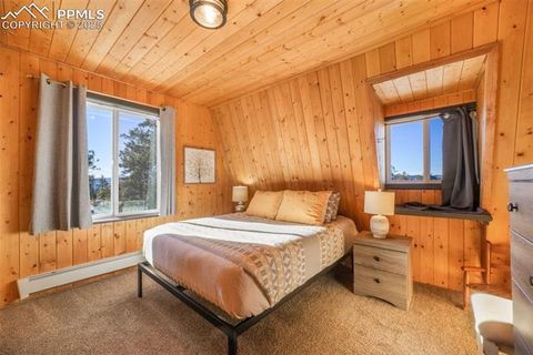 Tiny photo for 312 Trail Creek Road, Lake George, CO 80827 (MLS # 5805314)