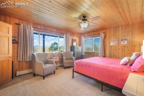 Tiny photo for 312 Trail Creek Road, Lake George, CO 80827 (MLS # 5805314)