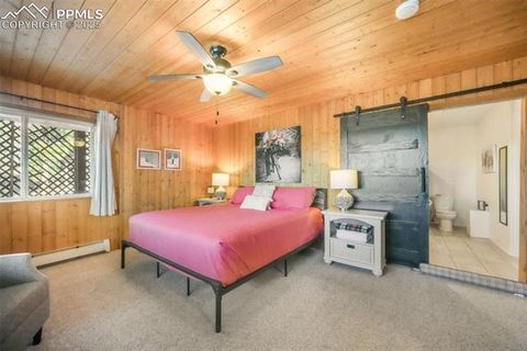 Tiny photo for 312 Trail Creek Road, Lake George, CO 80827 (MLS # 5805314)