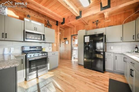 Tiny photo for 312 Trail Creek Road, Lake George, CO 80827 (MLS # 5805314)
