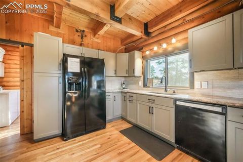 Tiny photo for 312 Trail Creek Road, Lake George, CO 80827 (MLS # 5805314)