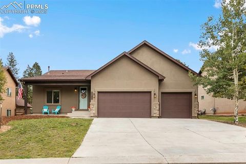 Tiny photo for 1145 Ptarmigan Drive, Woodland Park, CO 80863 (MLS # 3516177)