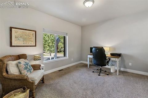 Tiny photo for 1145 Ptarmigan Drive, Woodland Park, CO 80863 (MLS # 3516177)