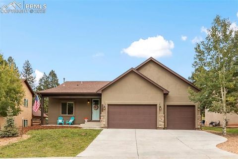 Tiny photo for 1145 Ptarmigan Drive, Woodland Park, CO 80863 (MLS # 3516177)