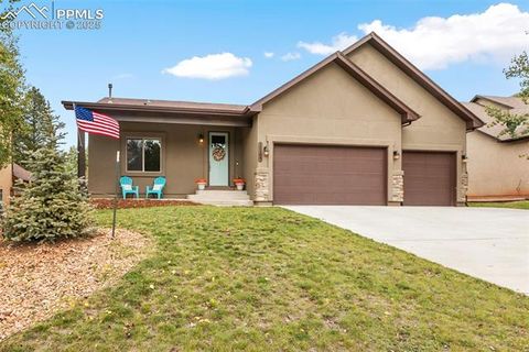 Photo of 1145 Ptarmigan Drive, Woodland Park, CO 80863 (MLS # 3516177)