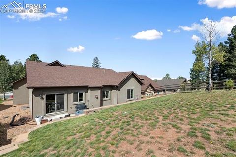 Tiny photo for 1145 Ptarmigan Drive, Woodland Park, CO 80863 (MLS # 3516177)