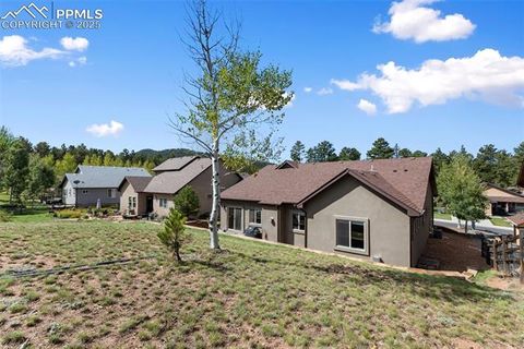 Tiny photo for 1145 Ptarmigan Drive, Woodland Park, CO 80863 (MLS # 3516177)