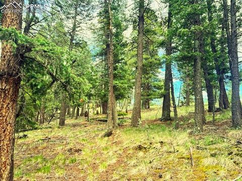 Photo of 179 Kenosha Way, Florissant, CO 80816 (MLS # 7678808)