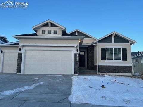 10225 Guild Terrace Colorado Springs CO 80924