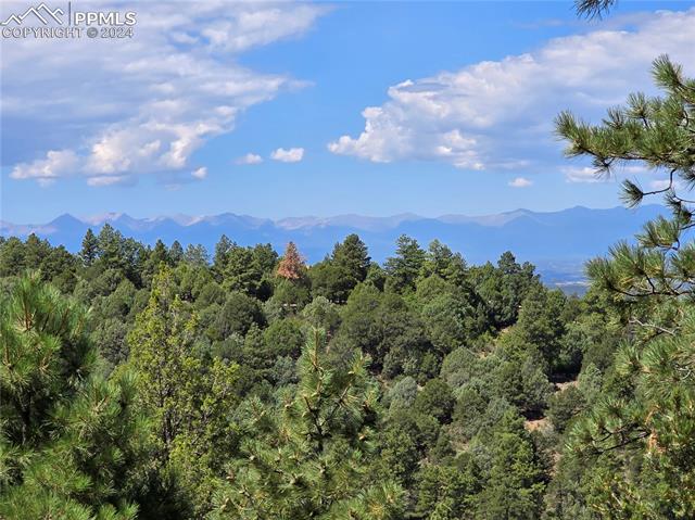 33036 Meadow Ridge Lane