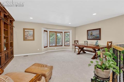 Tiny photo for 3805 Brushland Court, Colorado Springs, CO 80904 (MLS # 5615086)