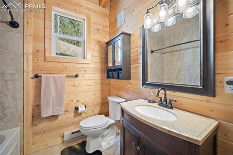 Tiny photo for 213 Willow Road, Divide, CO 80814 (MLS # 8237967)