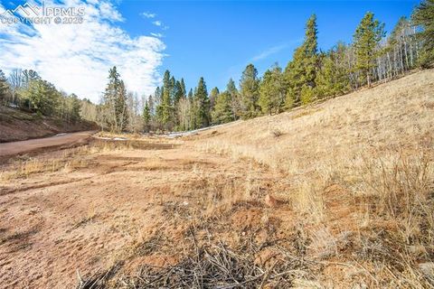 Tiny photo for 213 Willow Road, Divide, CO 80814 (MLS # 8237967)