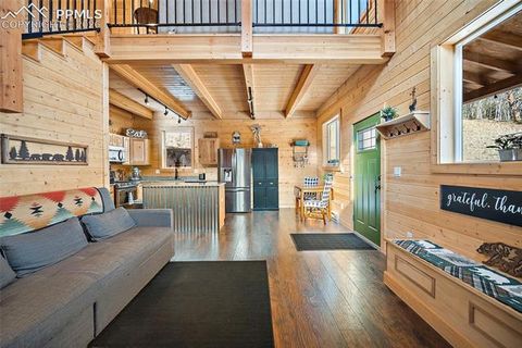 Tiny photo for 213 Willow Road, Divide, CO 80814 (MLS # 8237967)