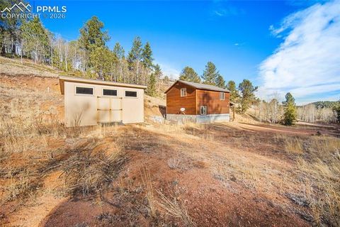 Tiny photo for 213 Willow Road, Divide, CO 80814 (MLS # 8237967)