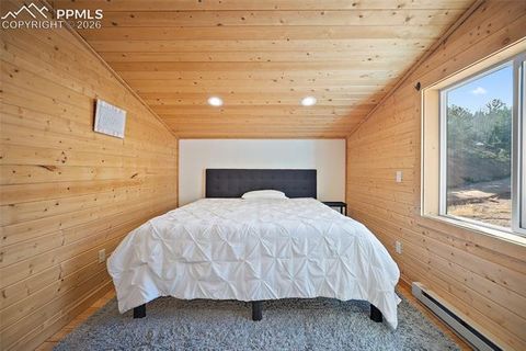 Tiny photo for 213 Willow Road, Divide, CO 80814 (MLS # 8237967)