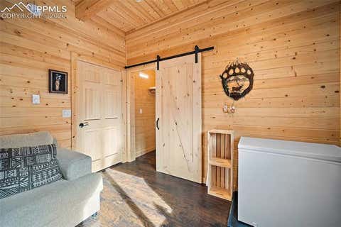 Tiny photo for 213 Willow Road, Divide, CO 80814 (MLS # 8237967)