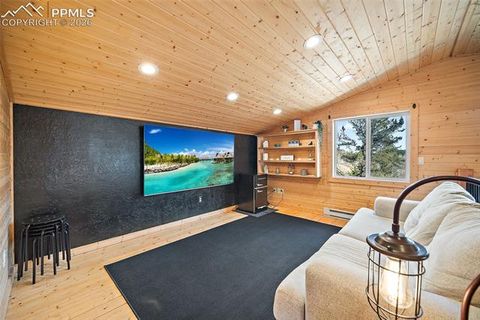 Tiny photo for 213 Willow Road, Divide, CO 80814 (MLS # 8237967)