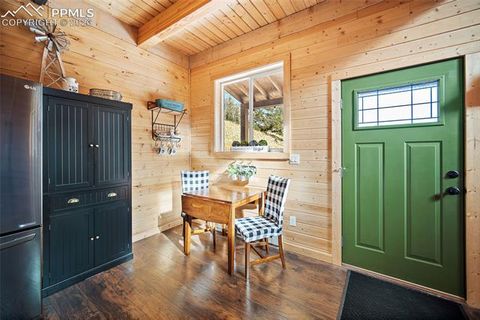 Tiny photo for 213 Willow Road, Divide, CO 80814 (MLS # 8237967)