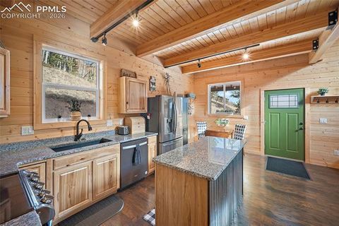 Tiny photo for 213 Willow Road, Divide, CO 80814 (MLS # 8237967)