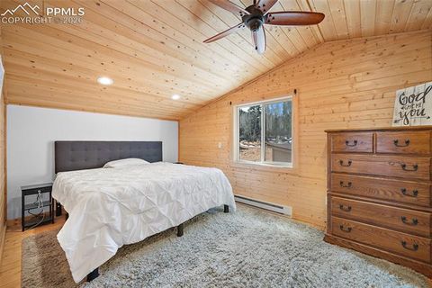Tiny photo for 213 Willow Road, Divide, CO 80814 (MLS # 8237967)