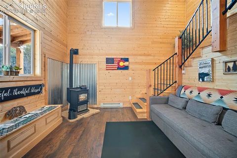 Tiny photo for 213 Willow Road, Divide, CO 80814 (MLS # 8237967)